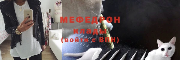 прущие грибы Алапаевск
