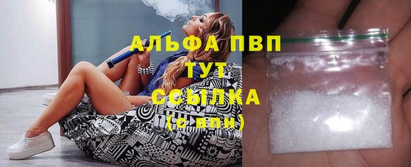 прущие грибы Алапаевск
