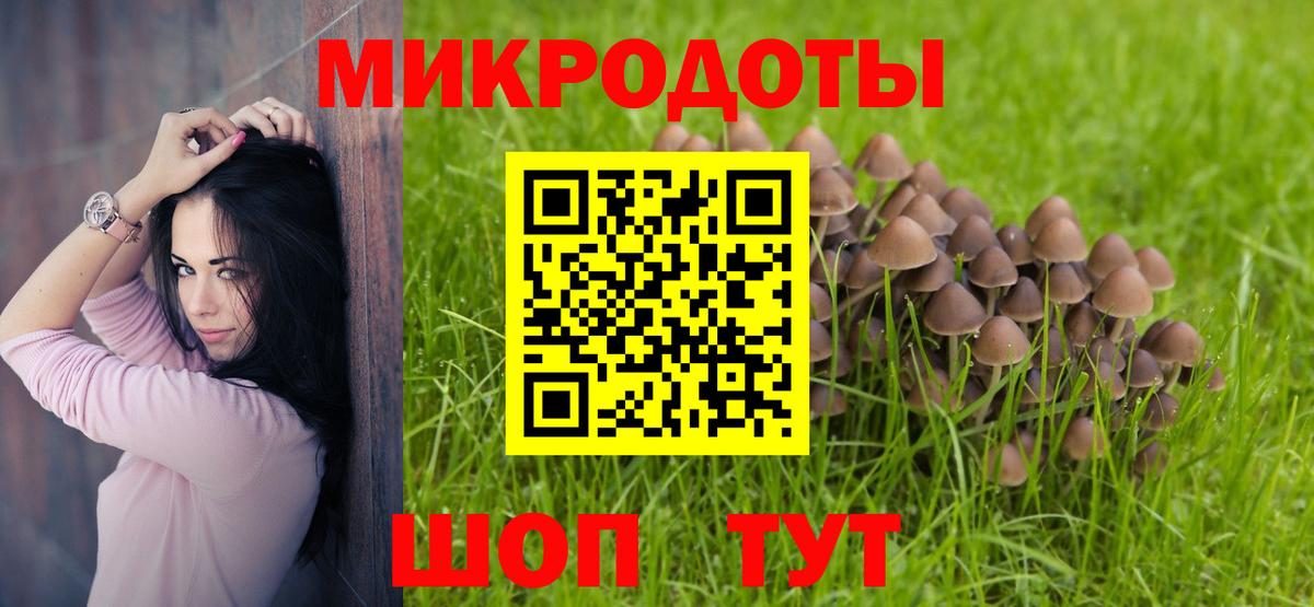 Галлюциногенные грибы MAGIC MUSHROOMS  купить наркотики цена  Кизляр 